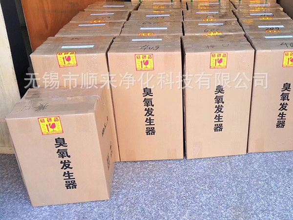 車載臭氧發(fā)生器其實(shí)是我們在車內(nèi)凈化空氣的物件